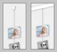 Picture mouse solo hanger