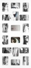 collage