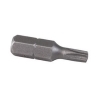 torx-bitje-T20-25-mm