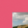 roze-met-witte-kern-passe-partout-op-maat