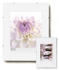 randloze-wissellijst-clipframe-50-x-70-cm-ontspiegeld-glas