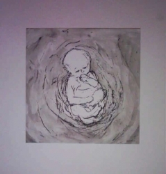 zeefdruk-Baby-Henk-de-Bouter