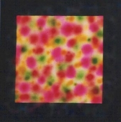 schilderij-Dots-Vierkant-Henk-de-Bouter
