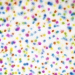 Schilderij-Dots-van-kunstenaar-Henk-de-Bouter