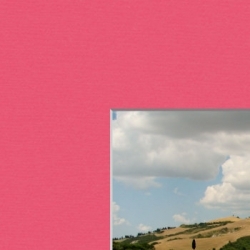 roze-met-witte-kern-passe-partout-op-maat