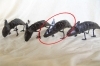 beeld chameleon - metalen kunstbeeldje - zie afbeelding beeld-chameleon---metalen-kunstbeeldje---zie-afbeelding