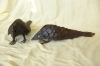 beeld-metalen-van-een-gordeldier)-25,5-cm-lang-armadillo