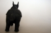 beeld-lama---gegoten-metaal-11,5-cm-lang
